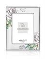 CORNICE 18X24 ROSE BIANCHE 25