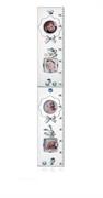 METRO BIMBO 12x71 CEL.