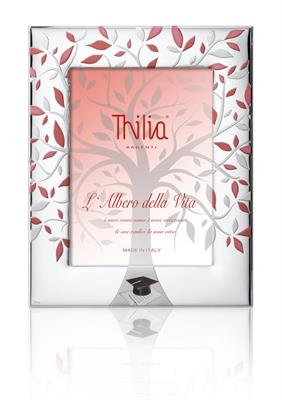 CORNICE 10X15 LAUREA