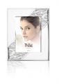 CORNICE LILII 10X15