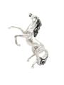 CAVALLO RAMPANTE 3 16x8xh20