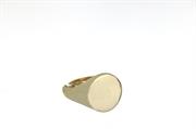 ANELLO DORATO TONDO ARG.925%