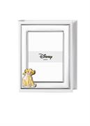 ALBUM RE LEONE 20X25 CON CORNICE 13X18