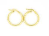 ORECCHINI CERCHIO 2COPPIE 2MM ARG.925% DOR