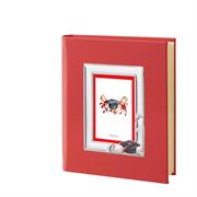 ALBUM LAUREA 20X25 CON CORNICE 9X13