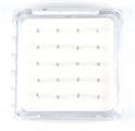 ORECCHINI NASO 20 PZ PALLINA DA 2mm ARG 925