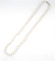 COLLANA PERLE KULTRA BIANCO 8MM 60CM CON CHIUSURA IN AG