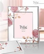 CORNICE ROSES 10X15