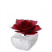 VASETTO BORDAUX CM 6X6