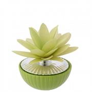 1/2 SFERA D. 9 BICOLORE CON DIFFUSORE DALIA VERDE