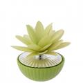 1/2 SFERA D. 9 BICOLORE CON DIFFUSORE DALIA VERDE