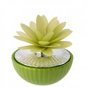 1/2 SFERA D. 9 BICOLORE CON DIFFUSORE DALIA VERDE
