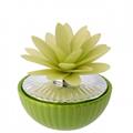 1/2 SFERA D. 9 BICOLORE CON DIFFUSORE DALIA VERDE
