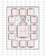 CORNICE 12 MESI ORSETTO ROSA