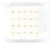 ORECCHINI NASO ZIRCONI TONDI DA 2mm 20 PZ GRIFFE DORATE ARG