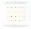 ORECCHINI NASO ZIRCONI TONDI DA 2mm 20 PZ GRIFFE DORATE ARG