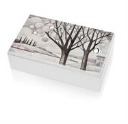 COFANETTO 20X12 SPONDE D'ARGENTO