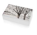 COFANETTO 20X12 SPONDE D'ARGENTO